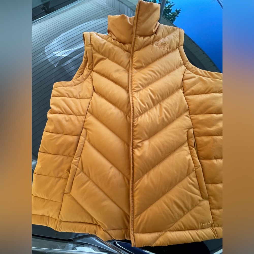 Northface Vest